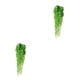 thumbnail image 4 of Cateissary Colgante de pared artificial Flor Planta Decoración falsa Interior Corto Blanco 85CM 2Conjunto, 4 of 6