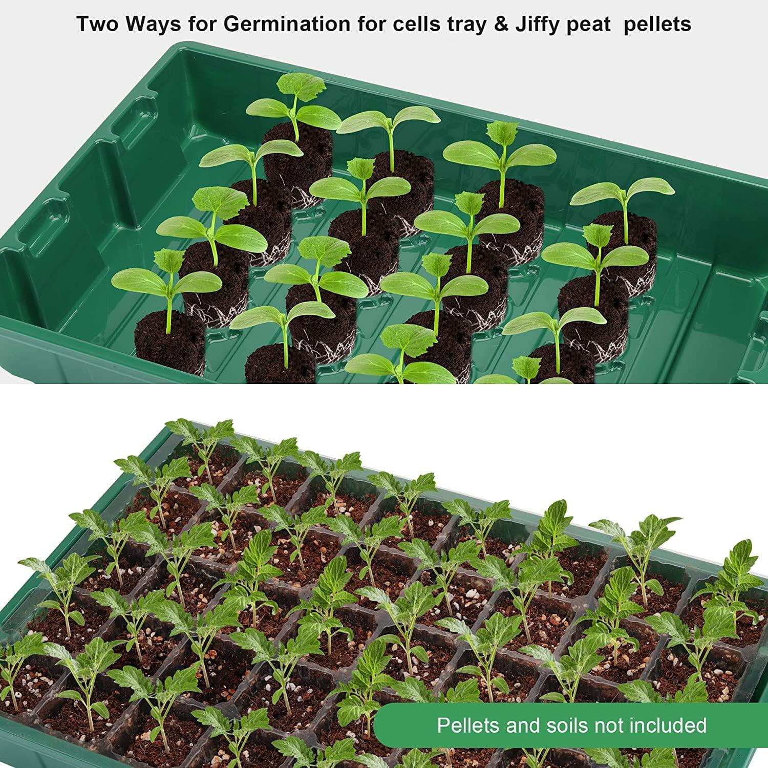 Seed Starter Tray with Lights, 2 Packs Mini Propagator Plant Grow Kit Greenhouse with Humidity Vented Domes and Base for Seeds Starting, Black