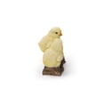 thumbnail image 3 of Playful Chicks Garden Statue, 3 of 5