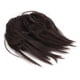 thumbnail image 4 of Cola De Caballo De La Extensión Del Pelo, Postizo Desordenado Elástico De Moda Del Moño Del Tamaño Ajustable Para El Partido ANGGREK P17-4#, 4 of 8