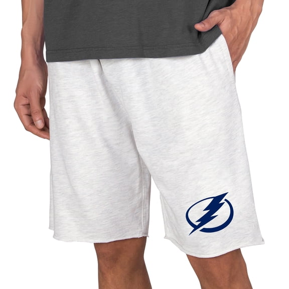 Men's Concepts Sport Oatmeal Tampa Bay Lightning Mainstream Terry Shorts