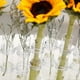 thumbnail image 5 of Hinged Flower Vase,6/8 Hinged Flower Vases Test Tube,hydroponic Plant Vase Transparent Aquatic Plant Display Holder, 5 of 5