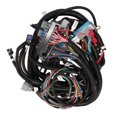 thumbnail image 2 of Drive by Cable Engine and 4L60E Transmission Standalone Wiring Harness for GM LS1, 2 of 4