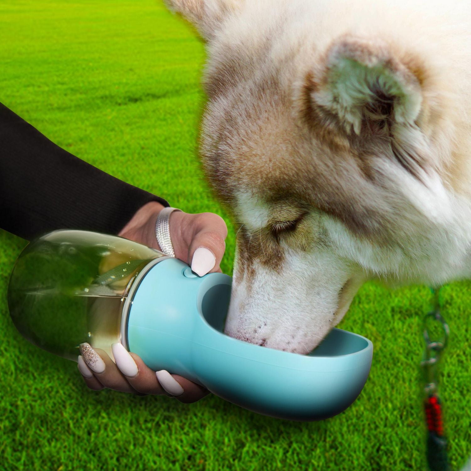 Pet Dog Water Bottle: Essential Travel Gear for Pups