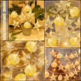 thumbnail image 6 of YUNOVA 9.84FT Battery Powered Shell String Lights - 20 LED Starfish & Seashell Fairy Lights, Ocean Theme Decor for Bedroom, Wedding, Garden Party, Beach Holiday Decorations, 6 of 8