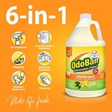OdoBan Citrus Odor Eliminator &amp; Disinfectant Cleaner, 2 Gallon ...