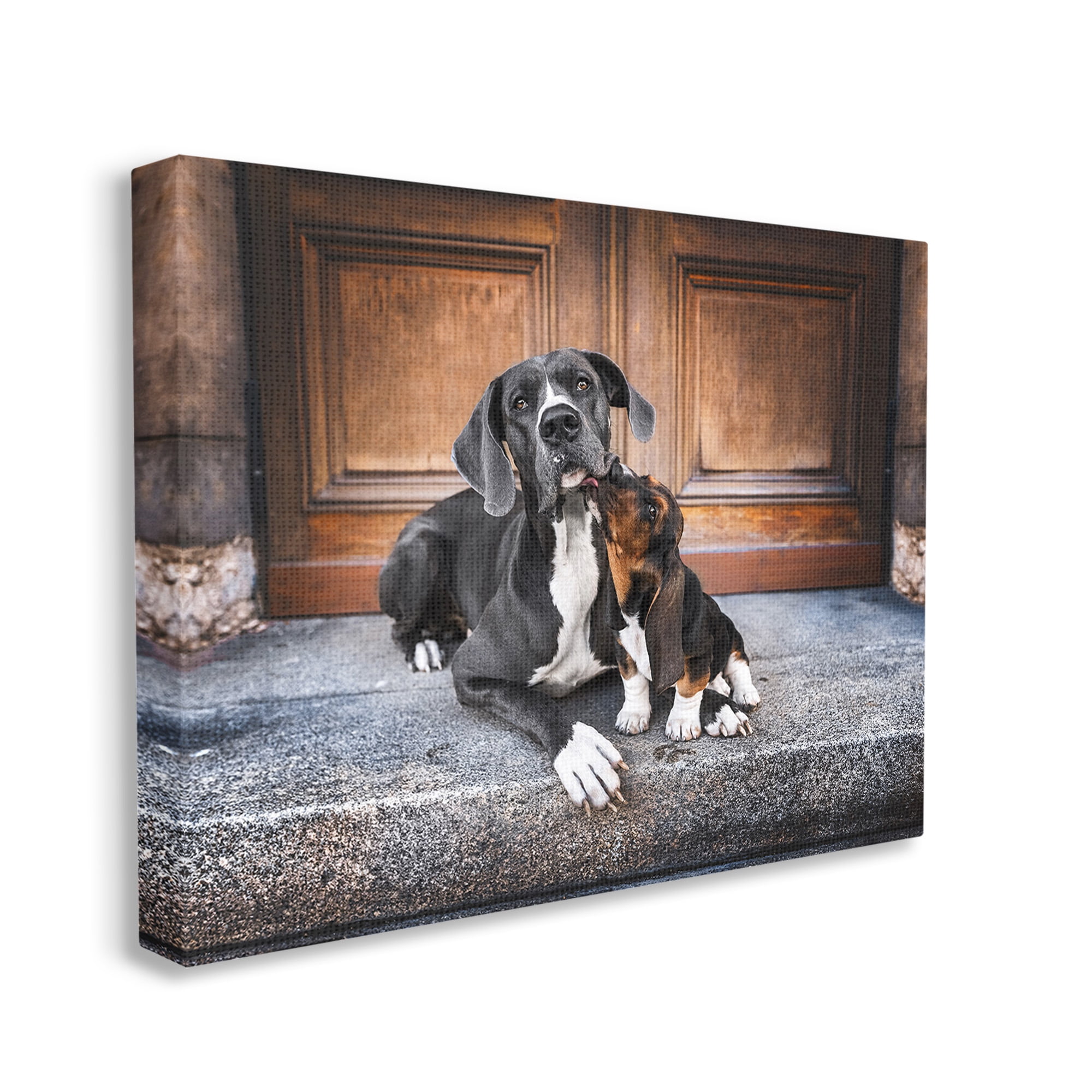 Stupell Industries Dogs on Doorstep Animals & Insects Painting Gallery Wrapped Canvas Art Print Wall Art, 48 x 36