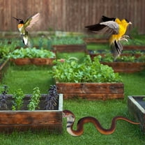 xaoyunyn Realistic TPR Rubber Snake Garden Decoration Set with Lifelike Cobras,Rattlesnakes Vipers to Scare Away Birds and Enhance Outdoor Spaces