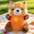 thumbnail image 5 of Raccoon Stuffed Musical Toy for , Soft Soothing Doll with Calming Melodies, Cute Comforting P for borns, s, Kids' Sleep Aid Gift, 5 of 7