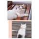thumbnail image 3 of Correa Ajustable Para Arnés De Gato, Lindo Arnés De Chaleco Para Gato Con Alas De ángel Con Cuerda De Tracción De 1,5 M/4,9 Pies Para Gatito Material De, 3 of 8