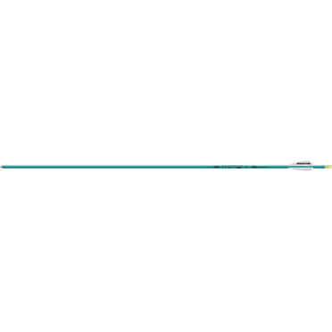 Easton Genesis Aluminum Archery Arrow,6 Pieces