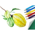 thumbnail image 4 of Lápices de colores S & E TEACHER'S EDITION 144 unidades preafilados, 4 of 5
