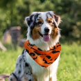 thumbnail image 6 of Cute Halloween Dog Bandanas 2 Pack, Pumpkin Cartoon Ghost Skeleton Spider Dog Scarf, Handkerchief Scarves Gifts for Puppy Large Dogs, 6 of 6
