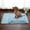 Blue, variant on Dog Cooling Mat Summer Breathable Ice Pads For Dogs Cat(Blue)