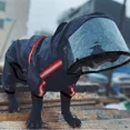 thumbnail image 4 of Chubasquero impermeable para perros de temporada de lluvias, ropa reflectante de poliéster de cuatro patas para perros medianos y grandes, ropa para mascotas, 4 of 5