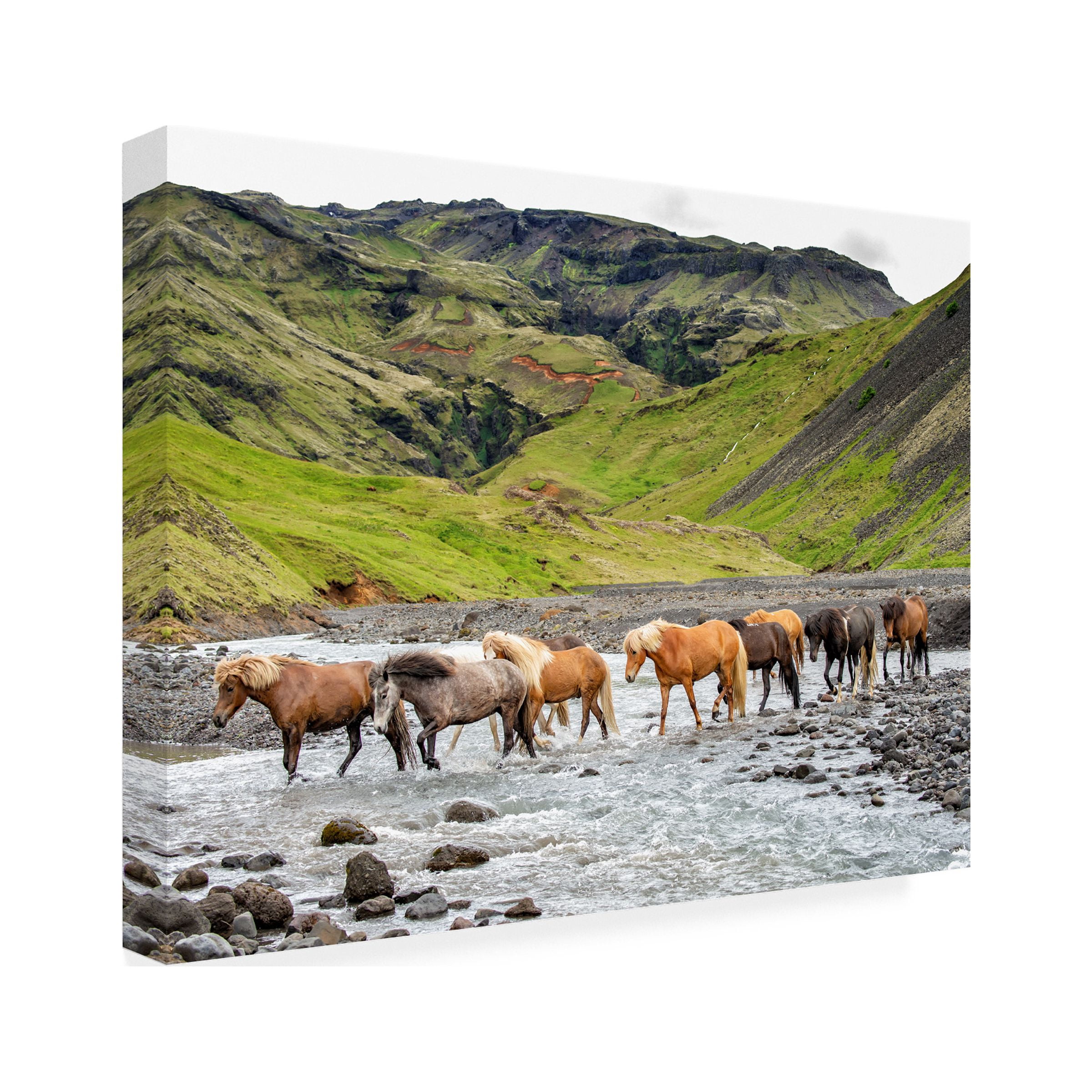 PHBurchett 'Collection of Horses II' Canvas Art