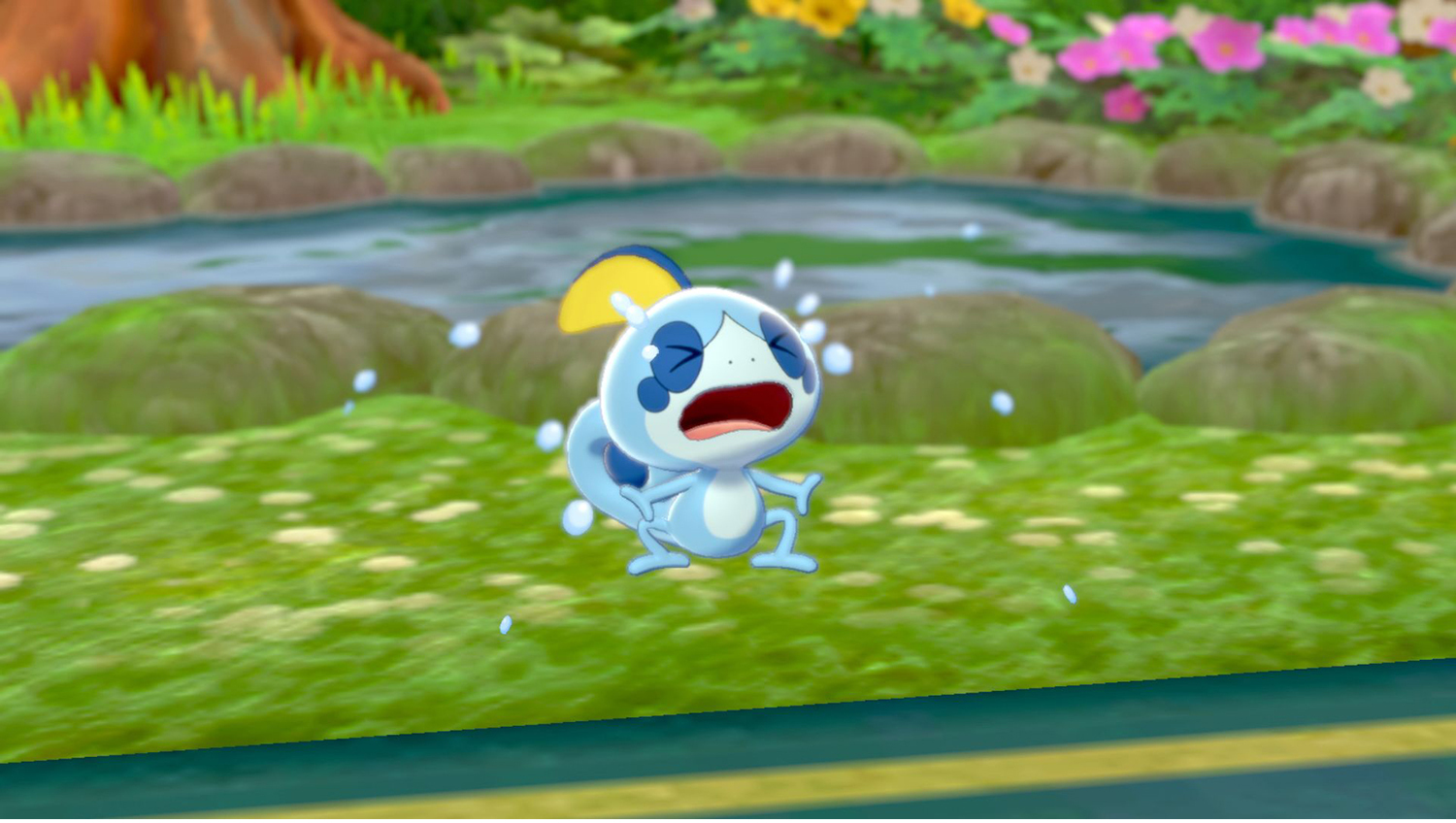 Nintendo Pokemon Sword photo 6