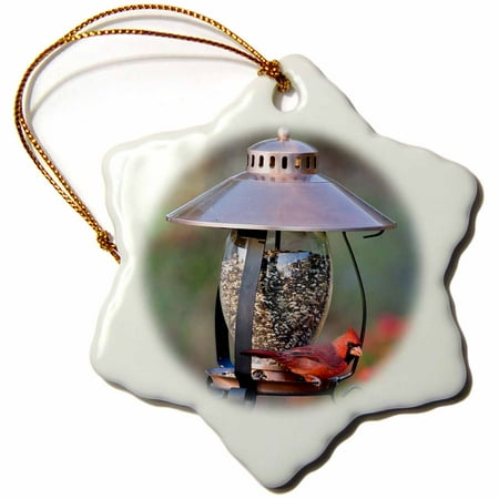 3dRose Northern Cardinal on copper lantern hopper bird feeder, Marion Co. IL - Snowflake Ornament, 3-inch