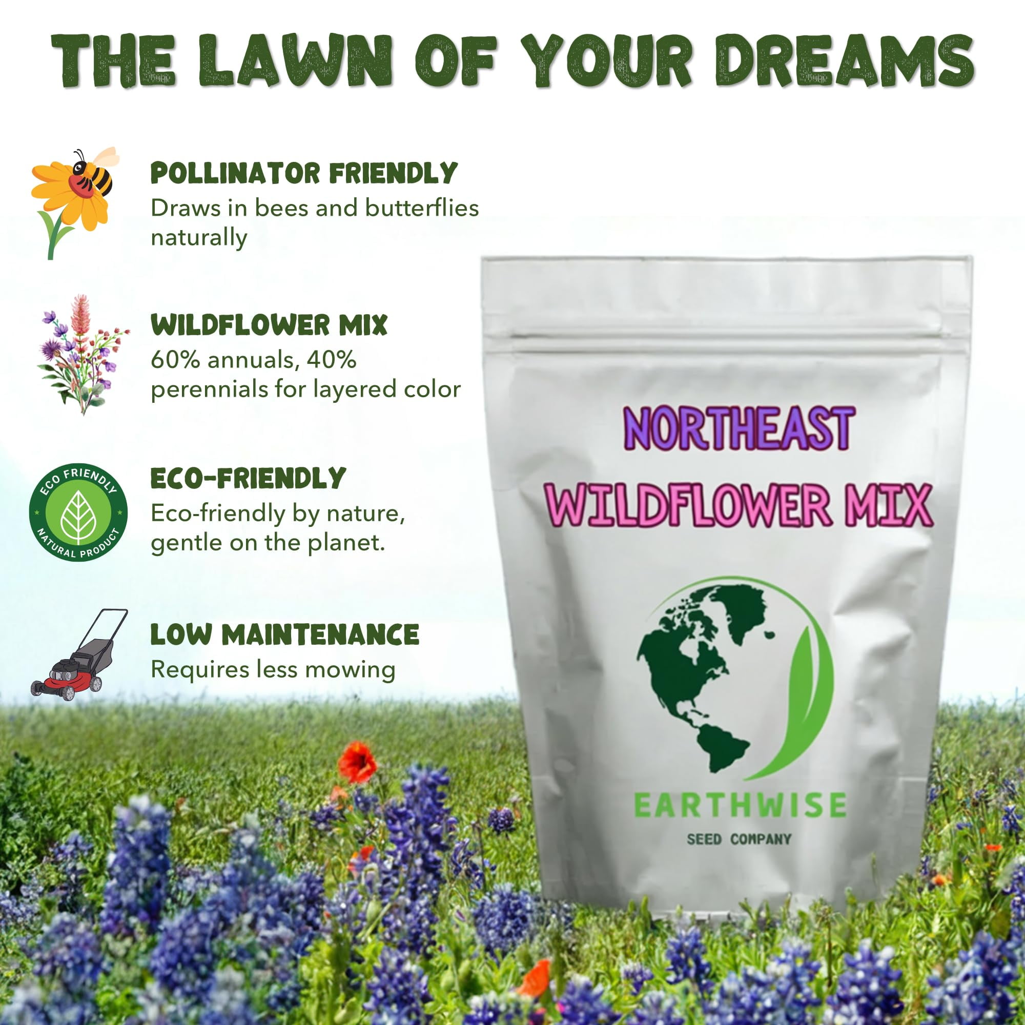 Earthwise Seed Company Northeast Native Wildflower Seed Grass Seeds, 1 lb - Hardy, Covers 2000 Sq. ft.