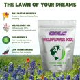 thumbnail image 5 of Earthwise Seed Company Northeast Native Wildflower Seed Grass Seeds, 1 lb - Hardy, Covers 2000 Sq. ft., 5 of 10