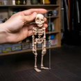 thumbnail image 3 of Poseable Skeleton Fridge Magnet, Multi-Colors Skull Decor, 3 of 5
