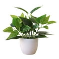thumbnail image 1 of Matsuzay Hojas de plantas artificiales en maceta, hojas de simulación, hogar, oficina, escritorio, decoración de partición de boda, decoración del Plantas Artificiales tipo de planta 17 y 17 Matsuzay HA7604-17B, 1 of 6