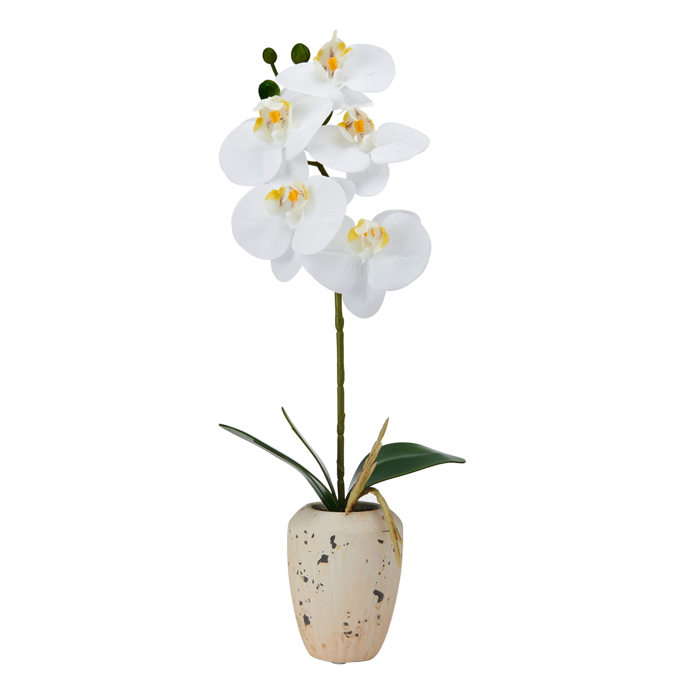 Home Accents 16-inch Artificial Real Touch Phalaenopsis Orchid in Faux Aged Cement Pot, White/Yellow