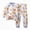 R222-Light Blue, variant on NOLDARES 2pcs Toddler Infant Baby Boy Fall Winter Clothes Print Long Sleeve Sweatshirt Casual Pants Outfits Set Casual Clothing(Blue,2-3 Y)