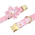 thumbnail image 2 of Conjunto de collar, arnés y correa para perro Beirui Cute Girl Pink M, 2 of 5