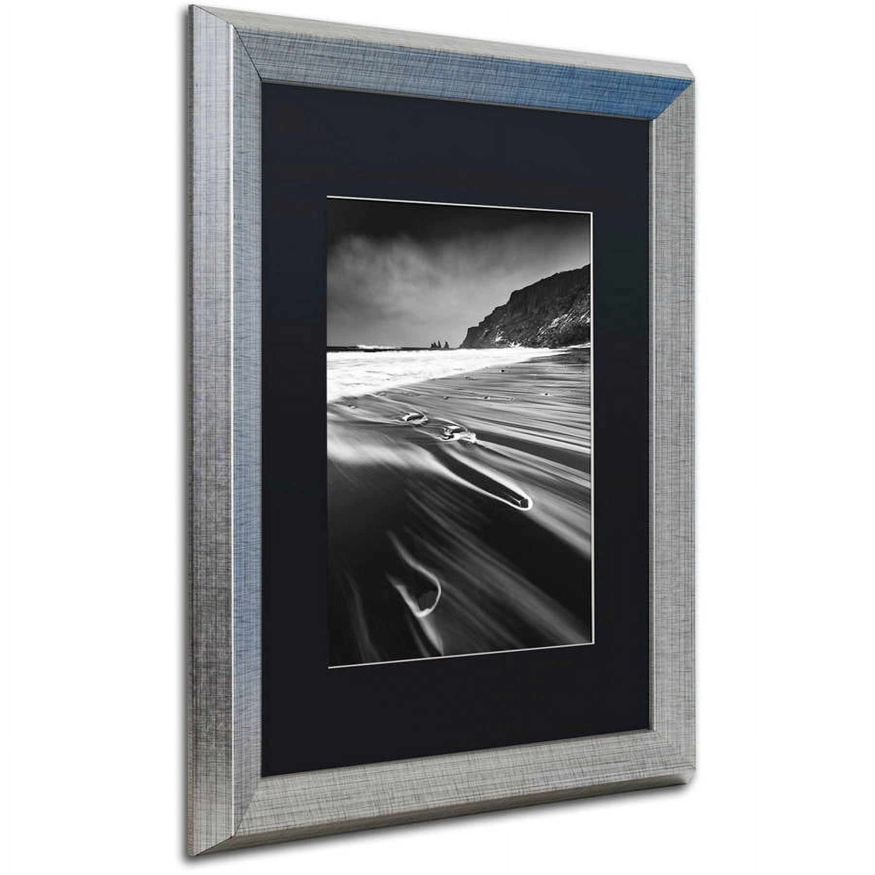 Trademark Fine Art "Veins of the Sea" Canvas Art by Mathieu Rivrin, Black Matte, Silver Frame