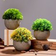 thumbnail image 4 of Gwong Decoración hogareña Simulación Potted Fresh Home Decoration Plastic Rural Hierba Bola Fake Bonsai para sala de estar Gwong 21067260, 4 of 6