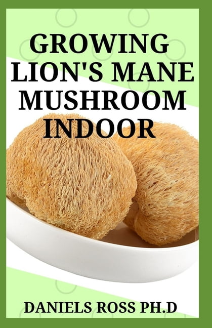 Growing Lion's Mane Mushroom Indoor : Simple and Advanced ...