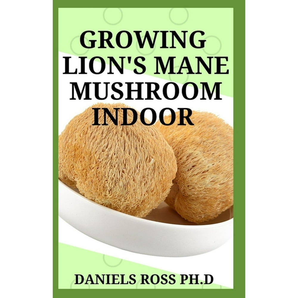 Growing Lion's Mane Mushroom Indoor Simple and Advanced Techniques