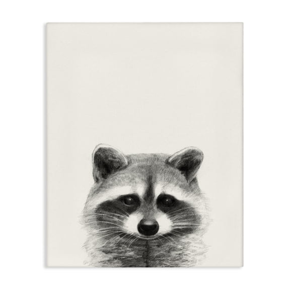 Stupell Industries Farmhouse Raccoon Portrait Grey Canvas Art, 16 x 20, by Victoria Borges