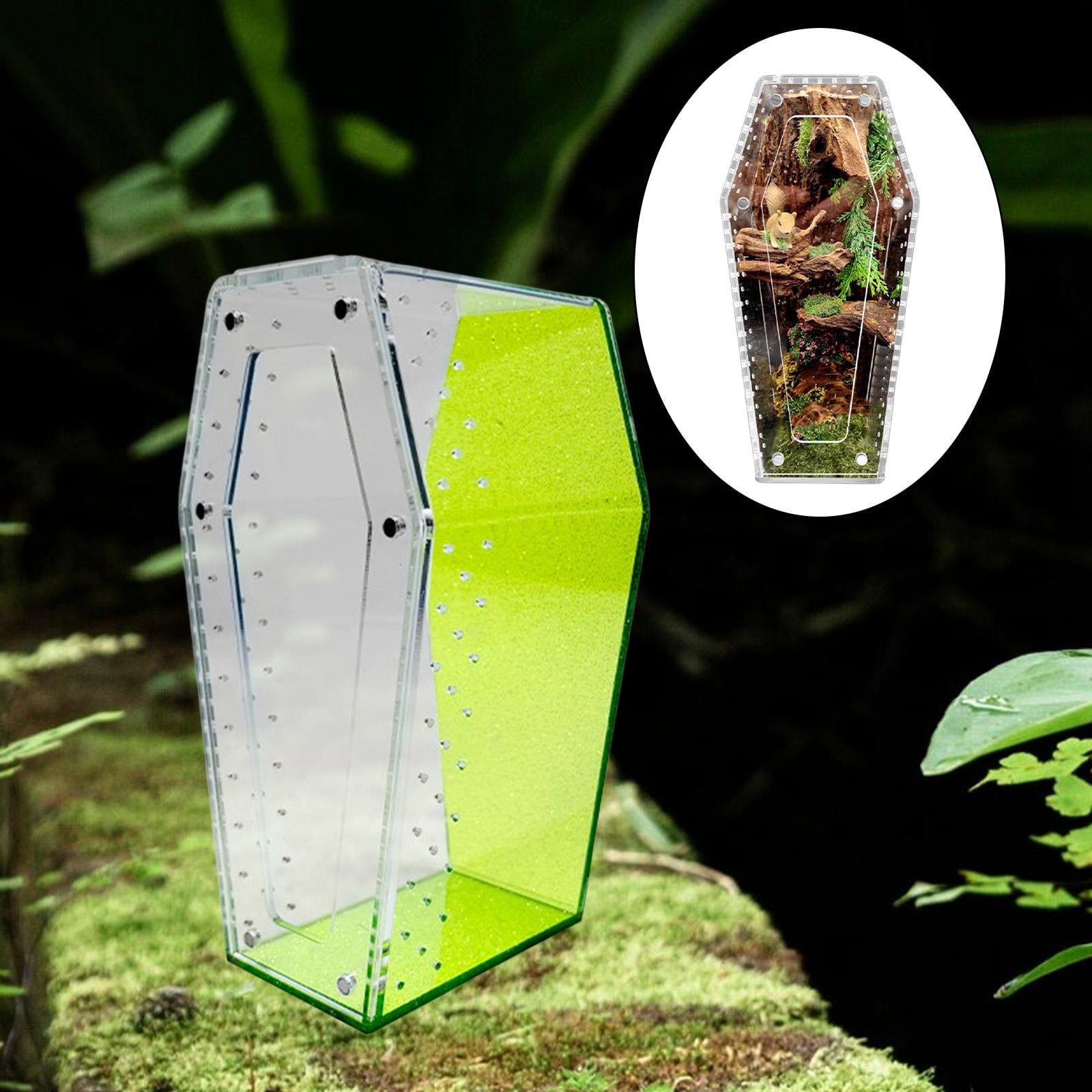 Reptile Terrarium Tarantula Enclosure Jumping Spider Cage 360 Degree Clear Acrylic for Pet Observation