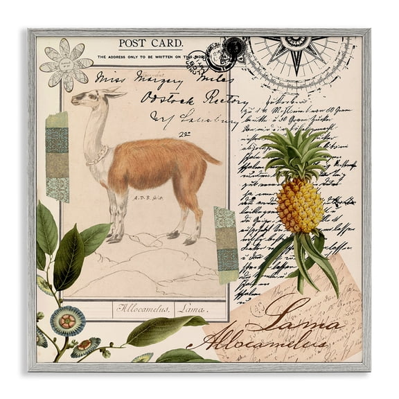 Stupell Industries Traditional Vintage Antelope Postcard Gray Framed Giclee Art, 24 x 24, by Andrea Haase