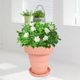 thumbnail image 4 of Tpr s ajuste de de agua s de jardín para interior Rosa Gloria macetas suculentas, 4 of 7