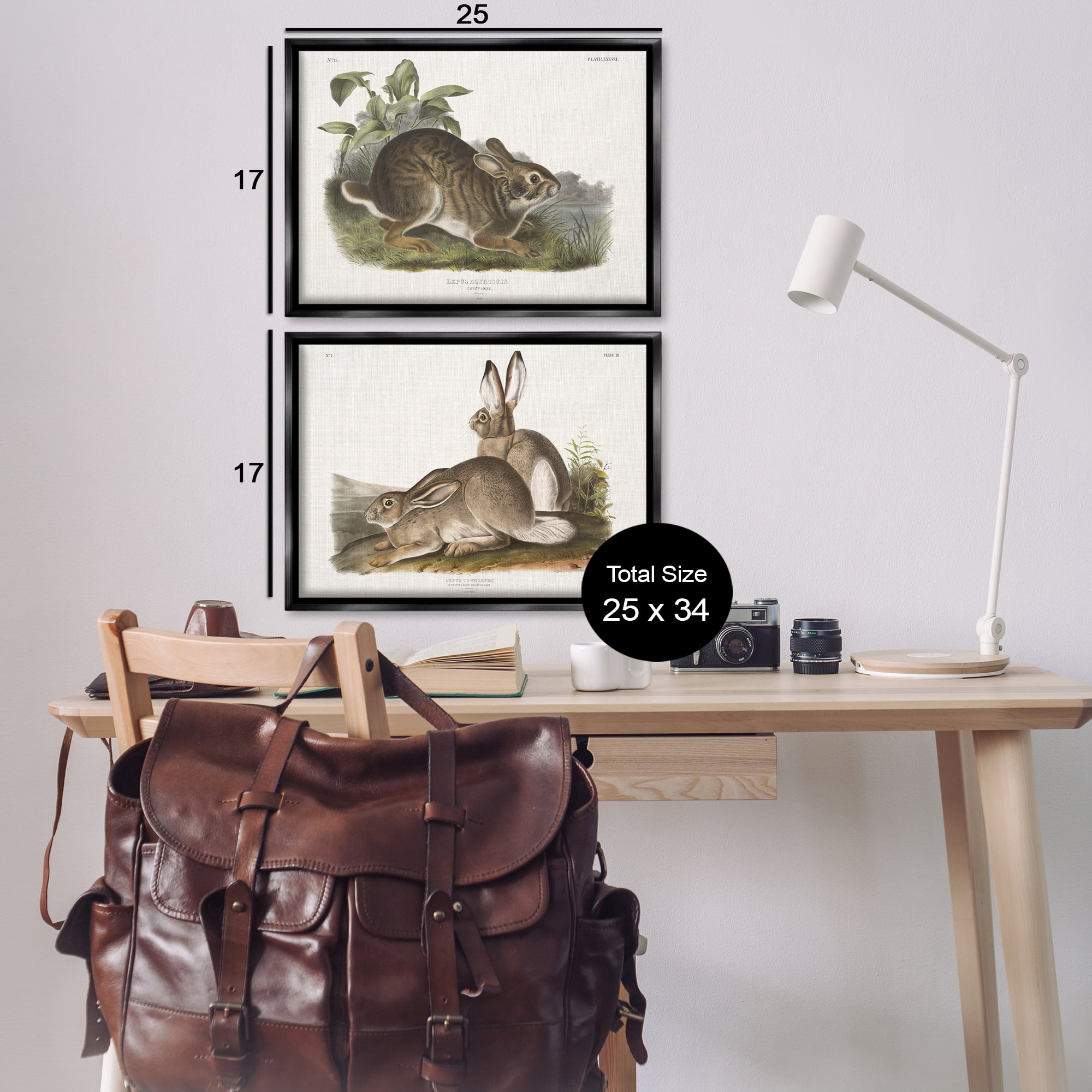 Stupell Industries Gentle Resting Cottage Rabbit Animals Painting Black Floater Framed Canvas Art Print Wall Art, 25 x 17, Set of 2