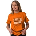 thumbnail image 4 of Tennessee Student Pride Cool Gameday Men's Graphic T Shirt Tees Brisco Brands S, 4 of 6