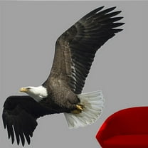 Wallhogs Eagle II Cutout Wall Decal