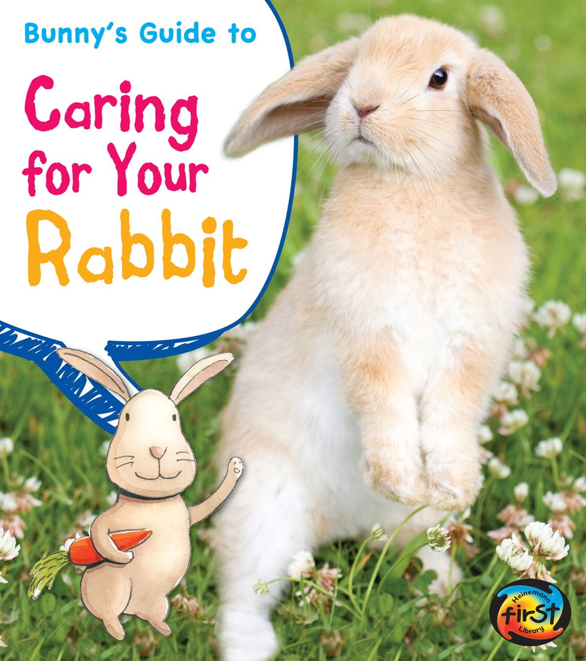 bunny care guide