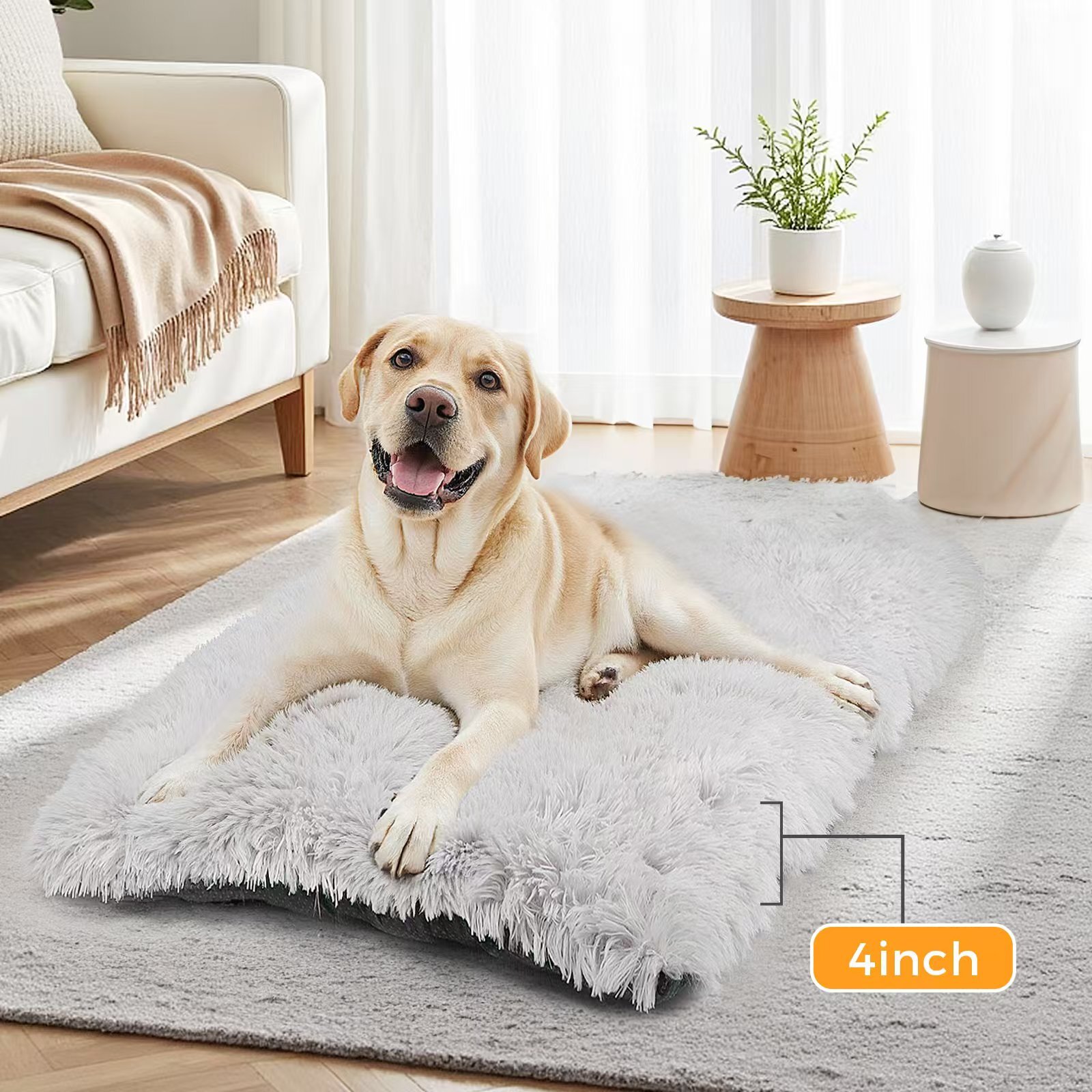 Katieovy Plush Large Dog Bed, 40 x 26 Inch photo 7