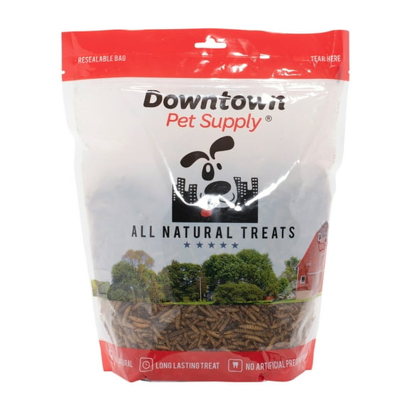 Dried Mealworms