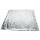 thumbnail image 2 of 1Pc 210 X 120cm Planta De Plata Película Reflectante Crecimiento De Plantas Películas Mylar Jardín Invernadero Crecer Accesorios De Luz Aumentar Efectivamente El Crecimiento De Las Plantas Nuevo, 2 of 14