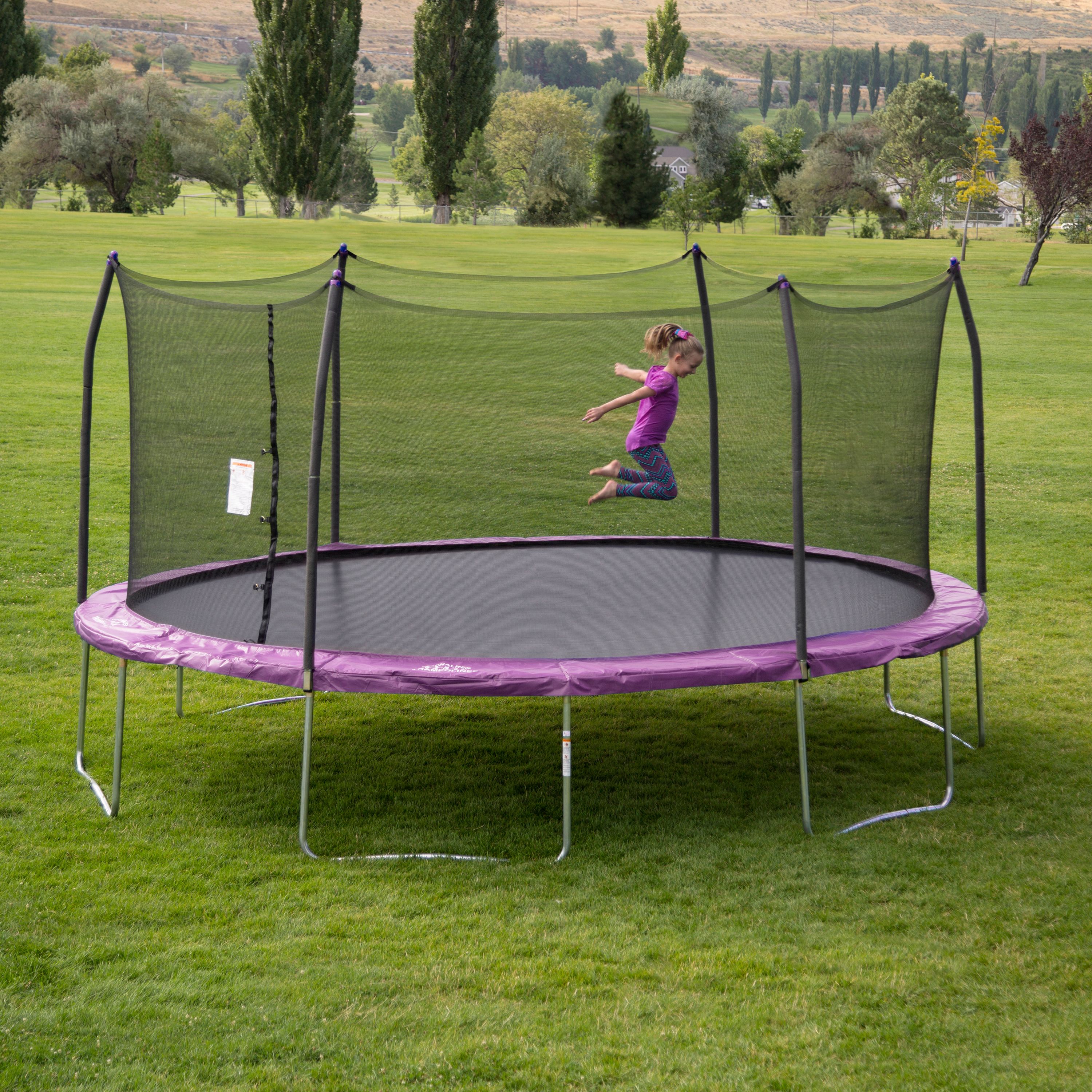 Skywalker Trampolines Oval 17-Foot Trampoline, with Enclosure, Purple