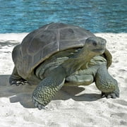 Design Toscano The Grand-Scale Wildlife Animal Collection: The Galapagos Tortoise Statue