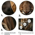 thumbnail image 3 of Designart "Stripes of Power The Majestic Tiger I" Animals Floater Framed Canvas Wall Art, 3 of 7