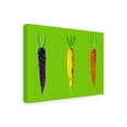 thumbnail image 4 of Trademark Fine Art Alice Straker Carrots Canvas Wall Art, 4 of 4