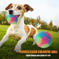 thumbnail image 2 of Btafrte Molar Brillante Mascota Intermitente Elástica Al Color (Prickly), 2 of 5