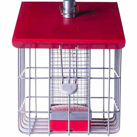 Upc 810718027417 The Nuttery Nc0010 Geohouse Compact Peanut